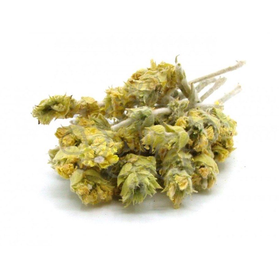 Сухоцветы для декора