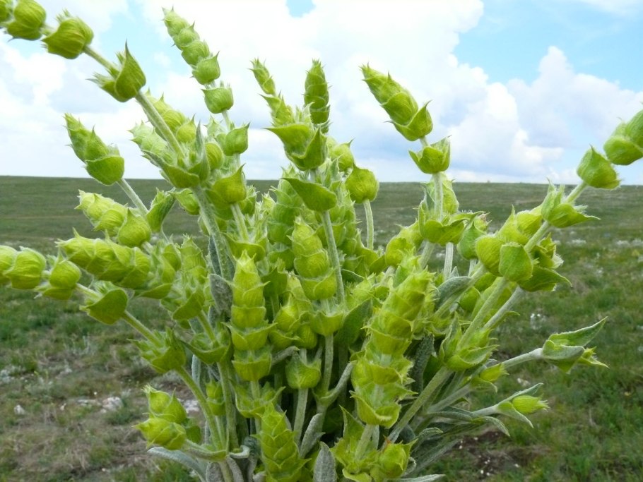 Железница Крымская