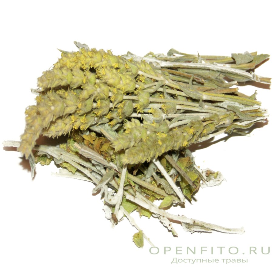 Чай лимонник Крымский