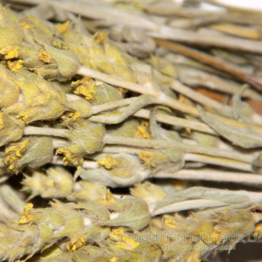 Греческий горный чай Железница