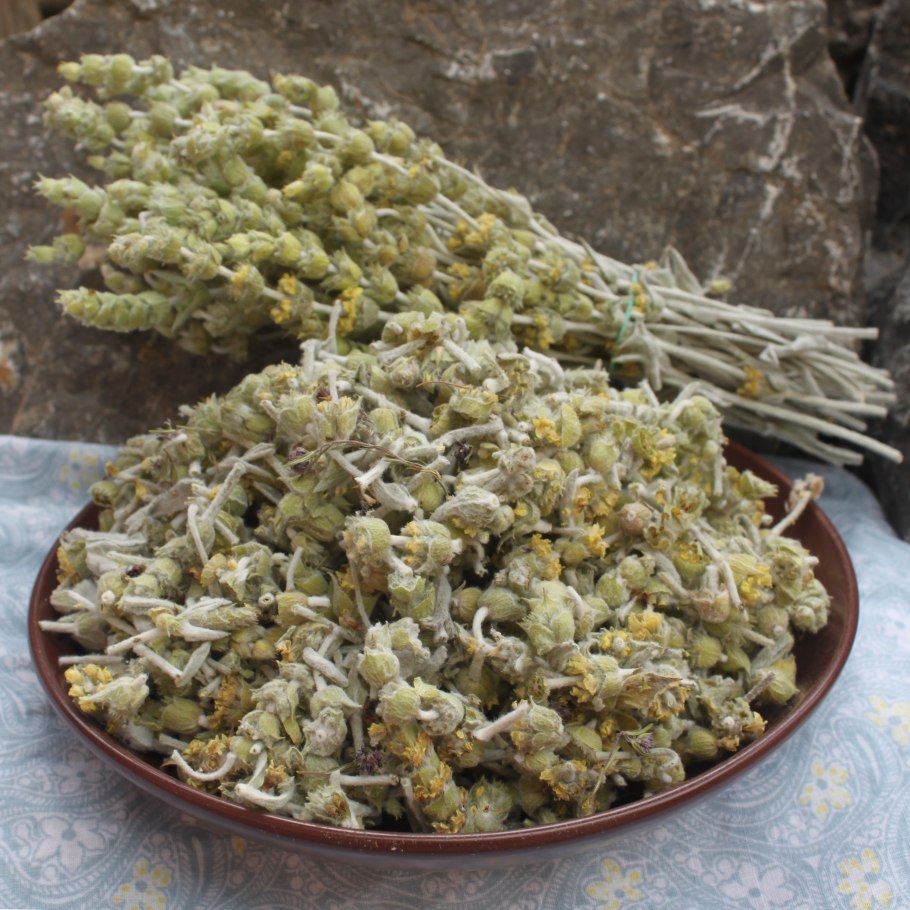 Трава Железница Крымская