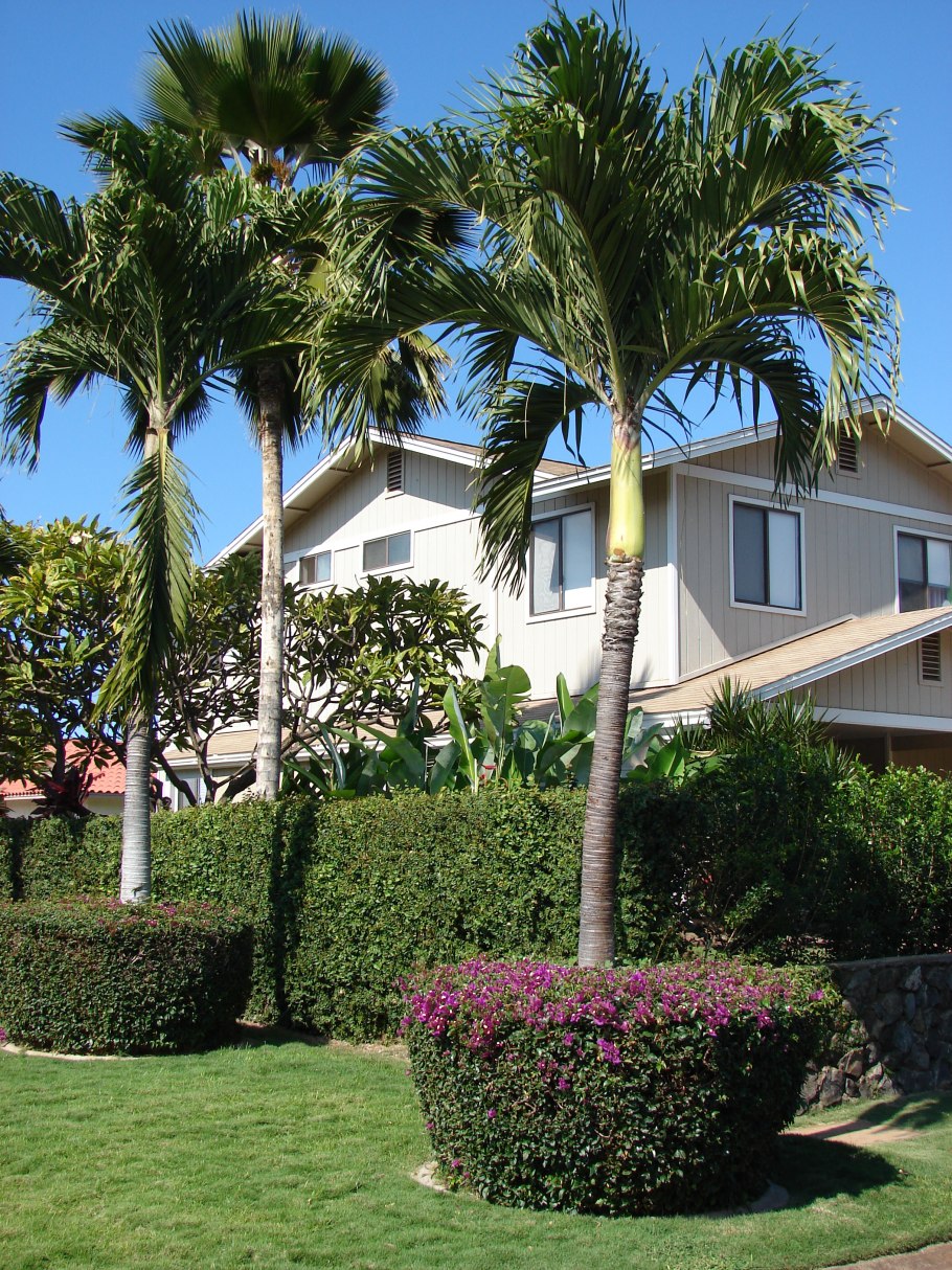 Александр пальм