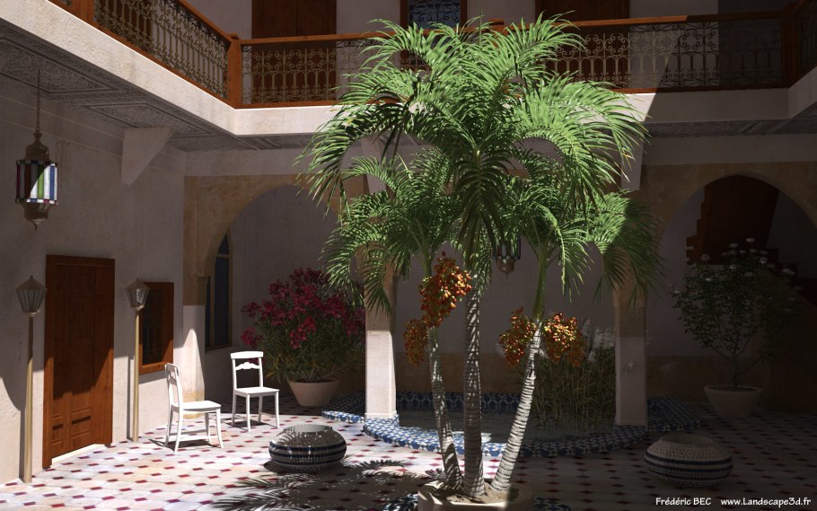 Дегенерия фиджийская дерево