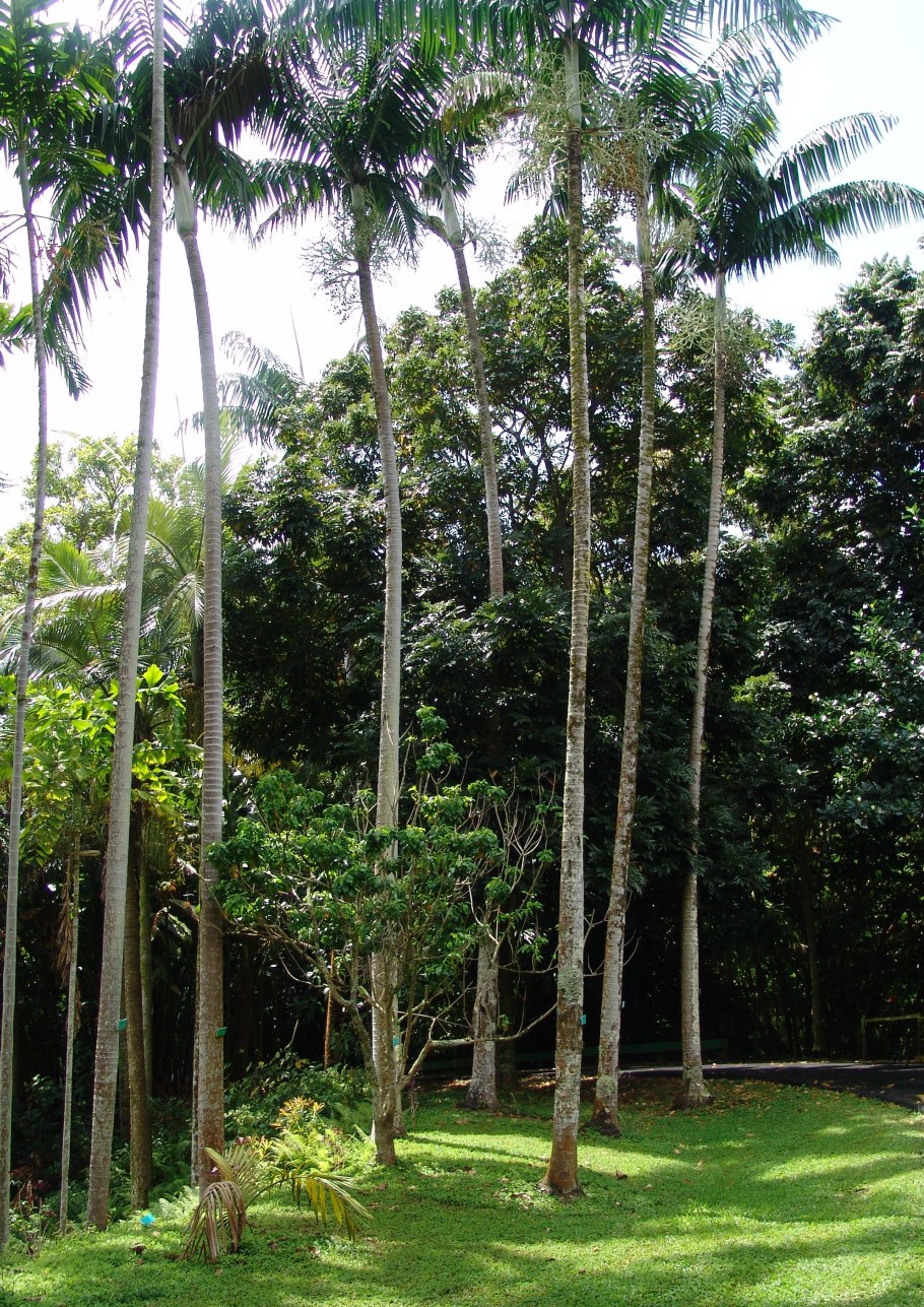 FLORAXCHANGE 286378329