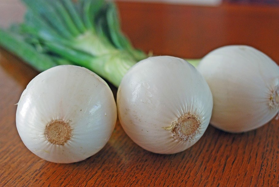 Головка репчатого лука