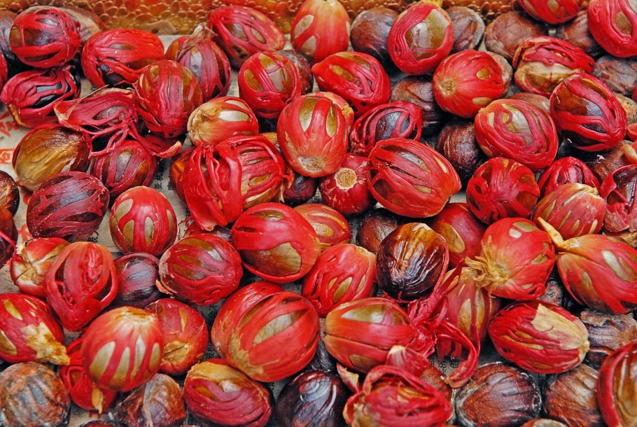 Древесина мускатного ореха