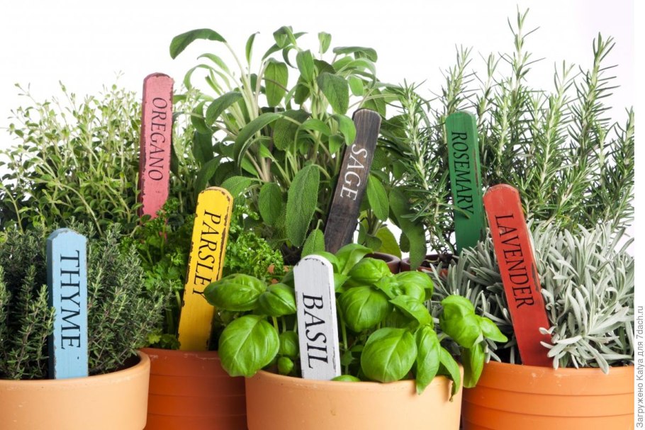 Сухие специи