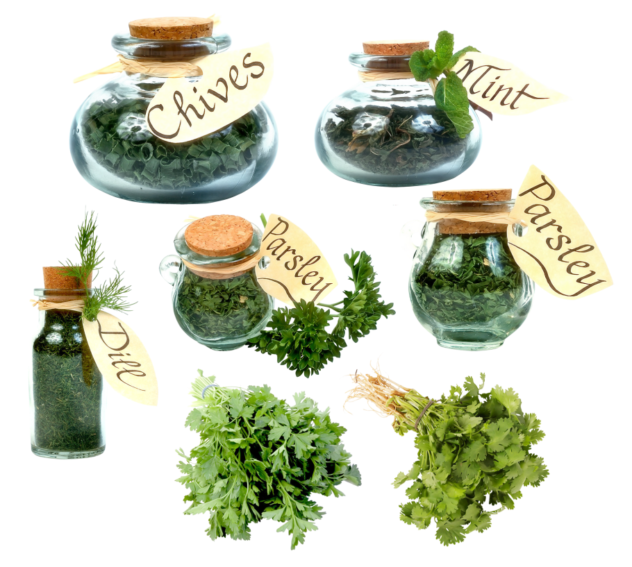 Табобат академияси