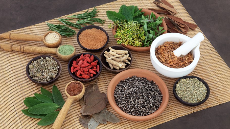 Теплолюбивые пряные травы