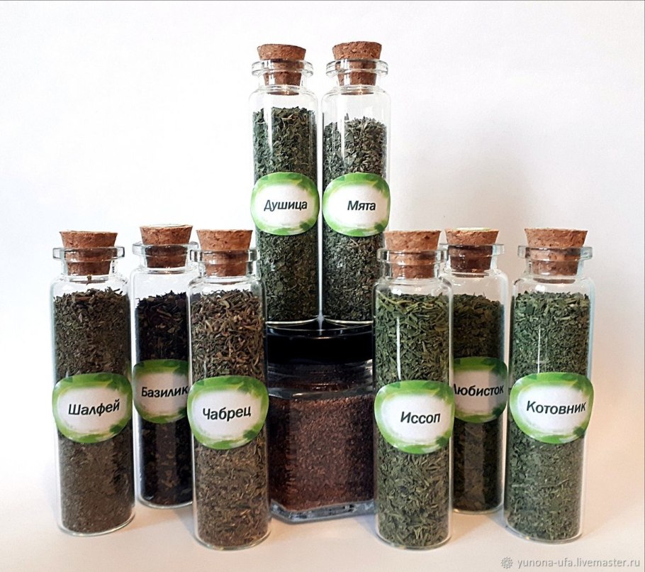 Травы специи и пряности