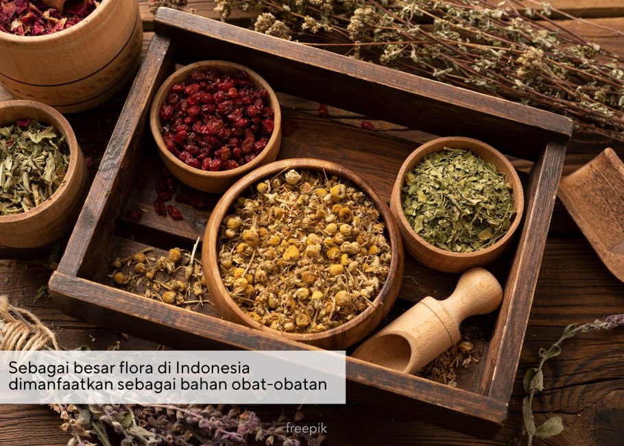 Ароматные и пряные травы