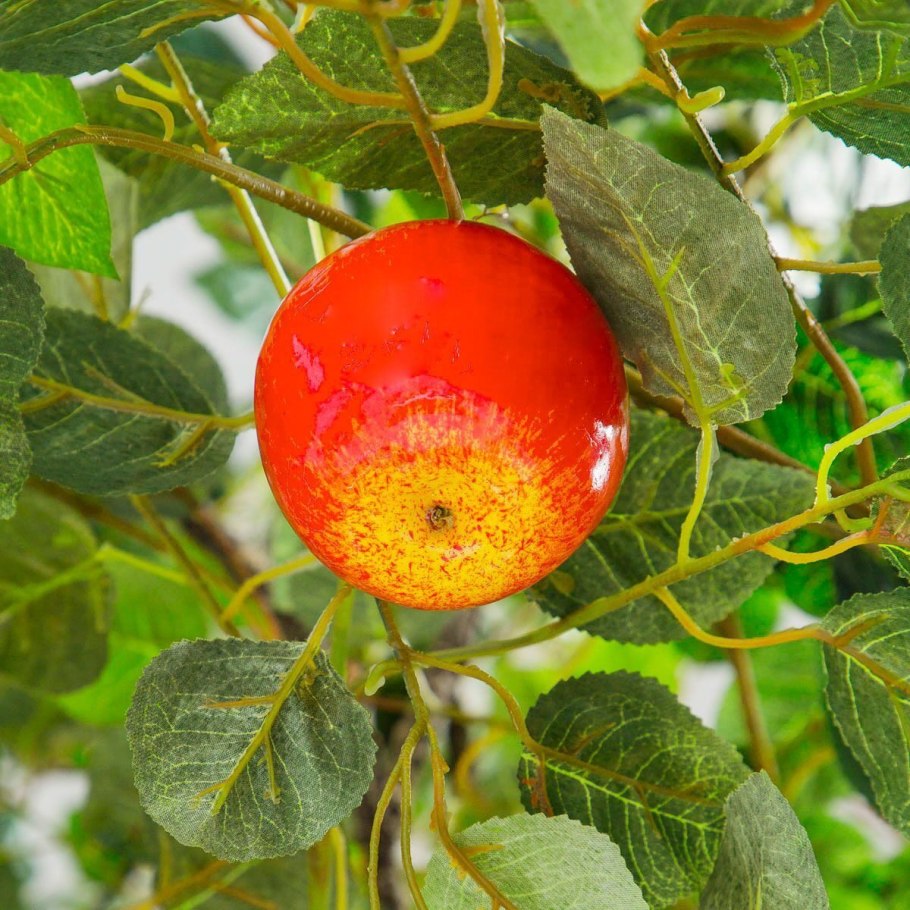 Яблоня Малиновка