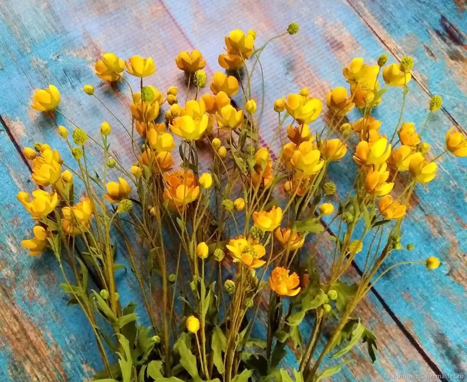 Лютик Гмелина