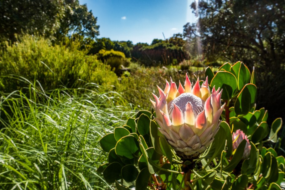 Женщина среднего возраста