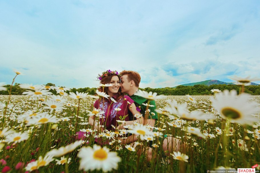 Фотосессия семьи в ромашковом поле