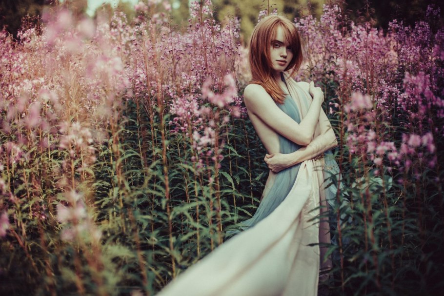 Зубровка трава