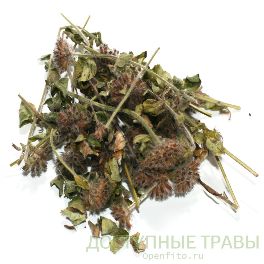 Смолевка Альпийская Альба(Silene Alpestre Alba).