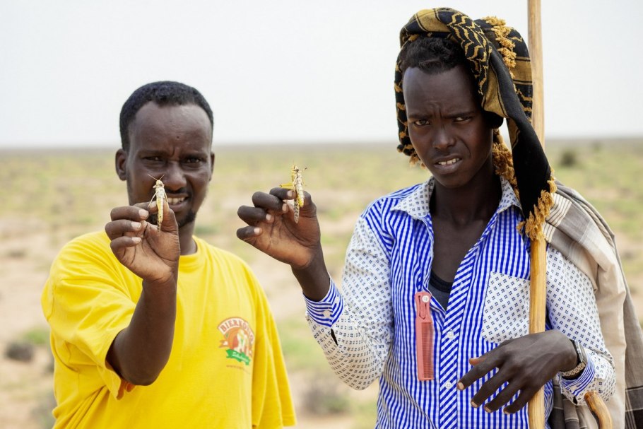 Карбюратор leader pz19jb