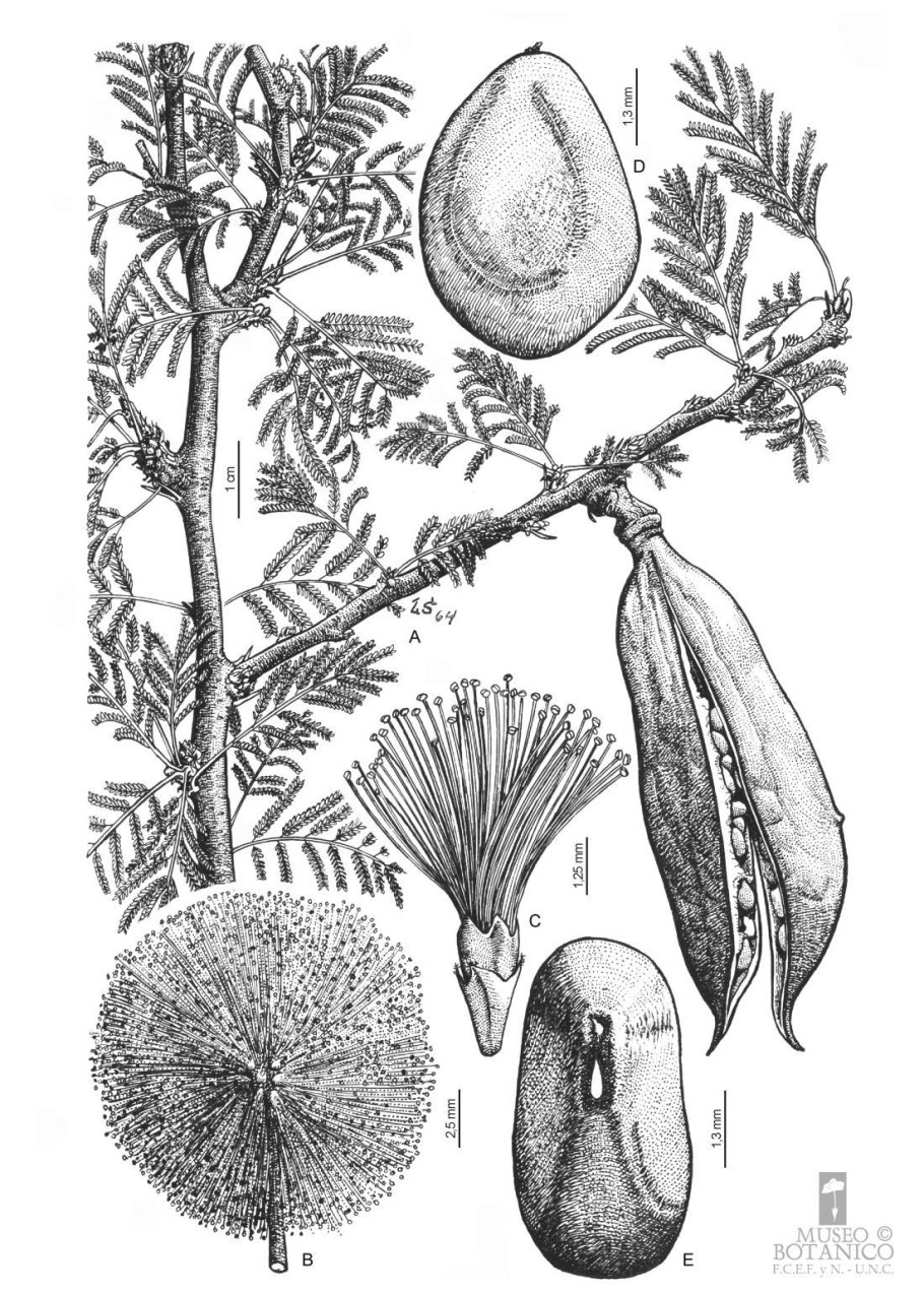 Алюминий 0881 pe