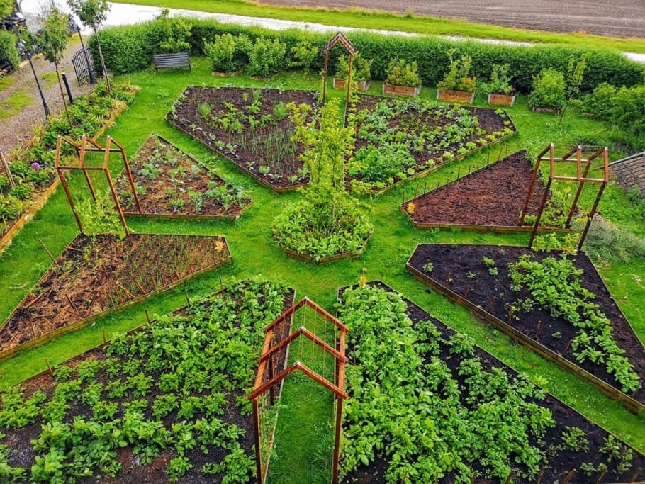 Обустройство огорода