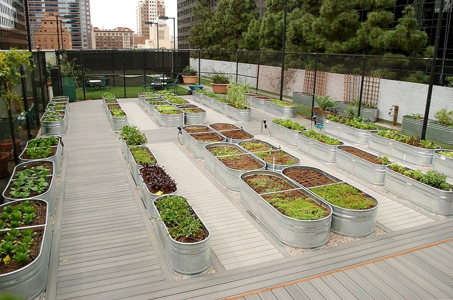 Красивые грядки на огороде