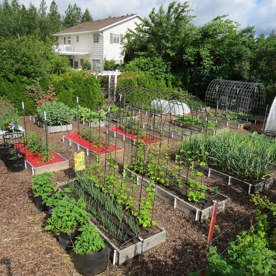 Планировка огорода грядки 1 сотка