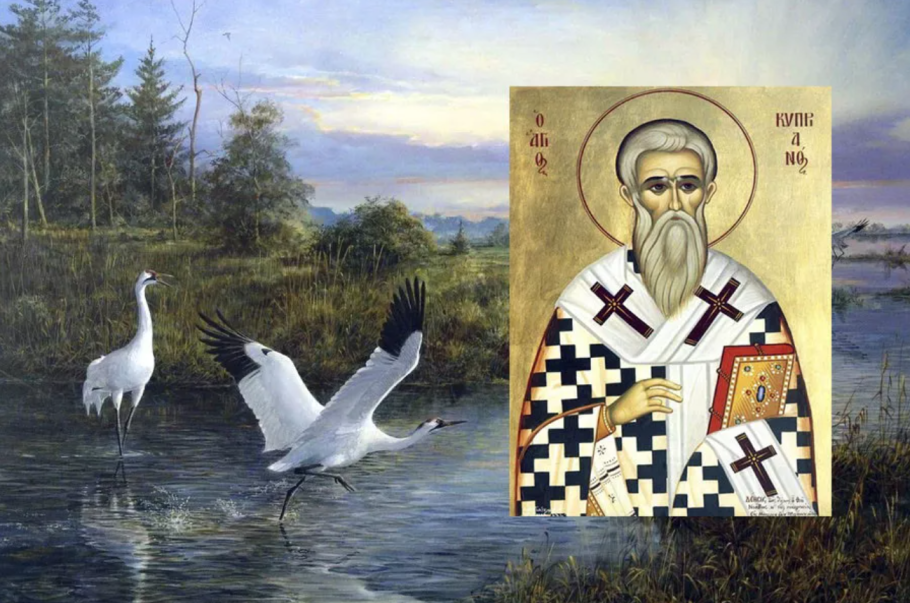 Ветреница Уральская