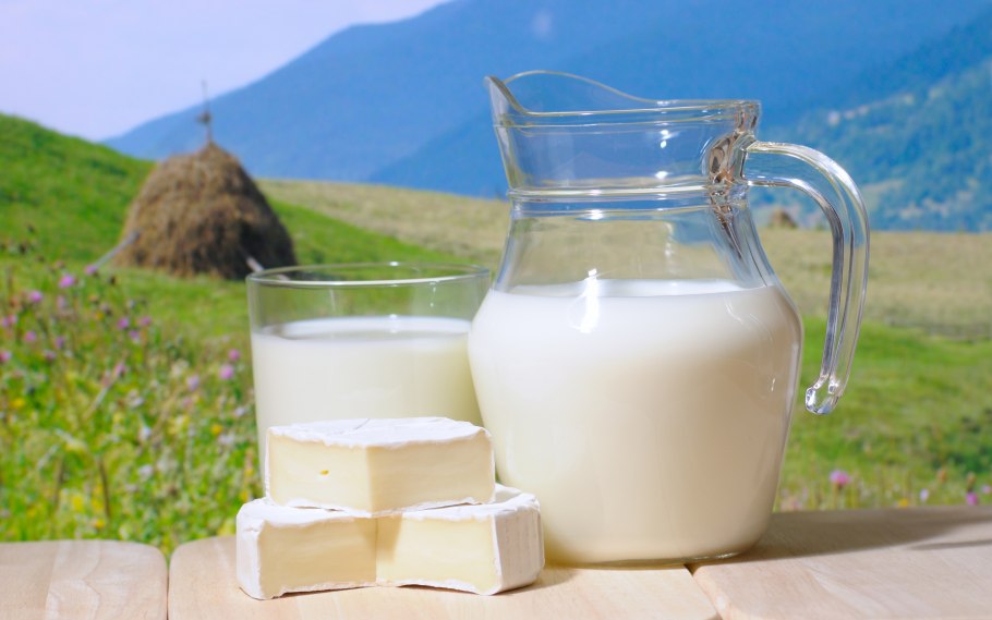 Актриса Светлана Ходченкова