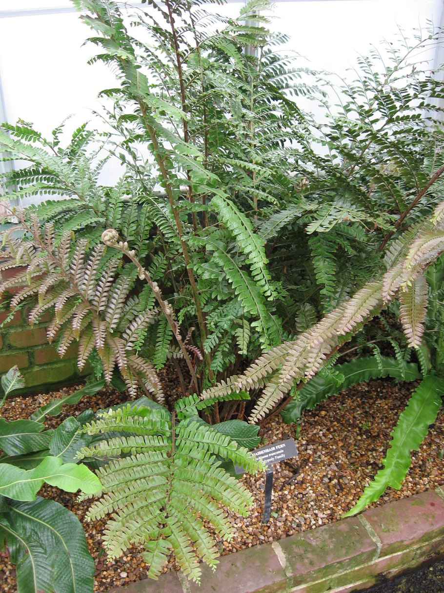 Юрий Пузырников