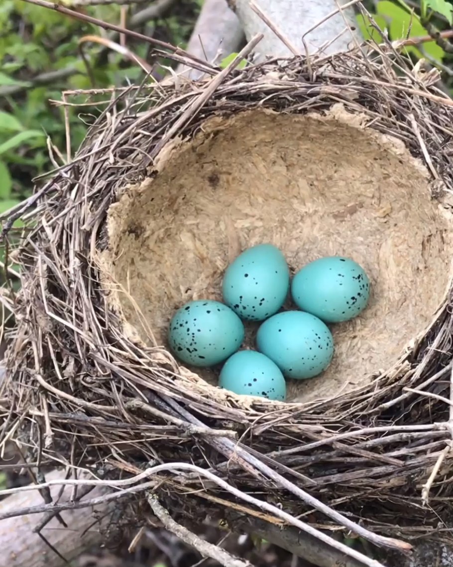 Пузырникова Ирина Александровна воспитатель
