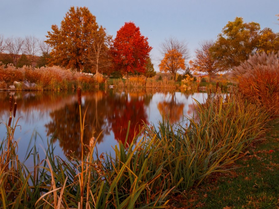 Осенний парк с прудом