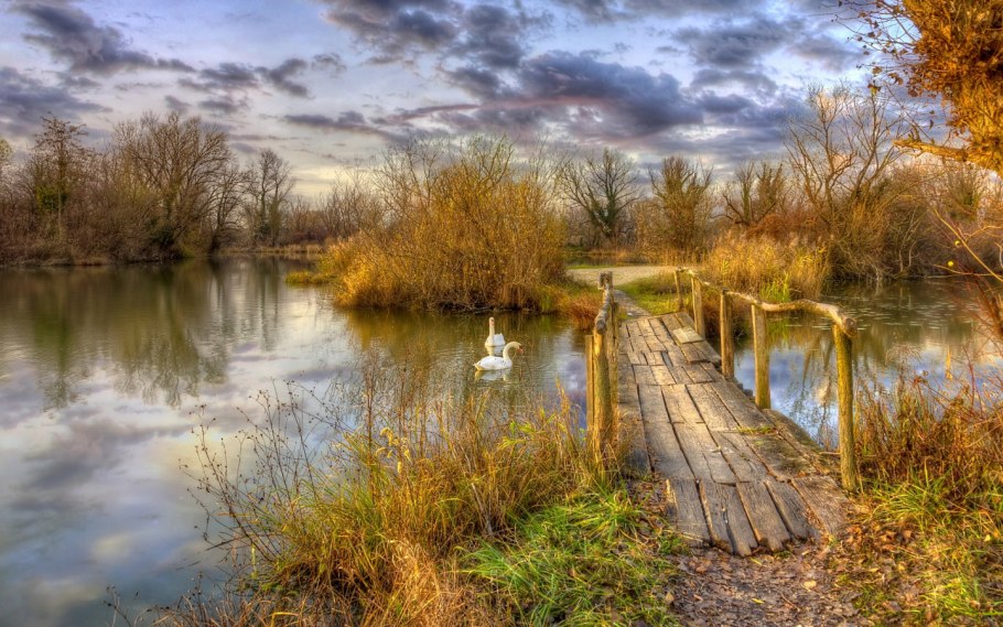 Берег реки осень