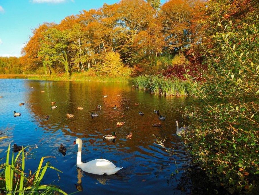 Осенний пейзаж Тульская деревня