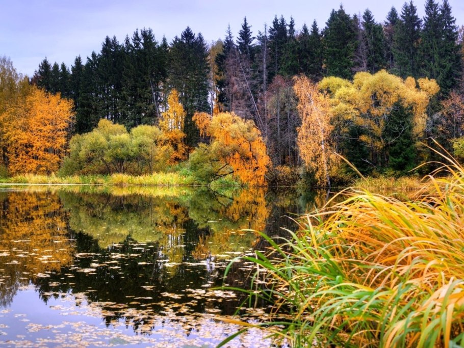 Осень озеро