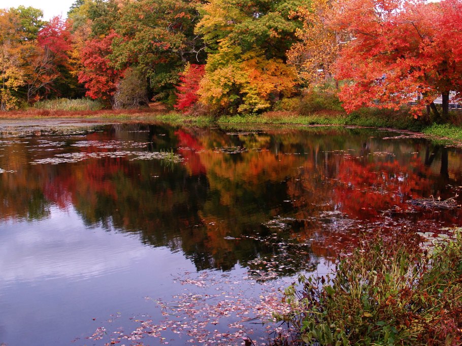 Природа осени