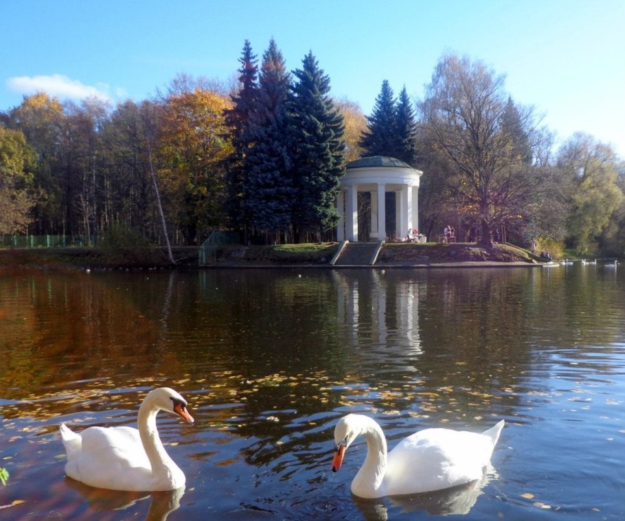 Приморский парк победы санкт петербург