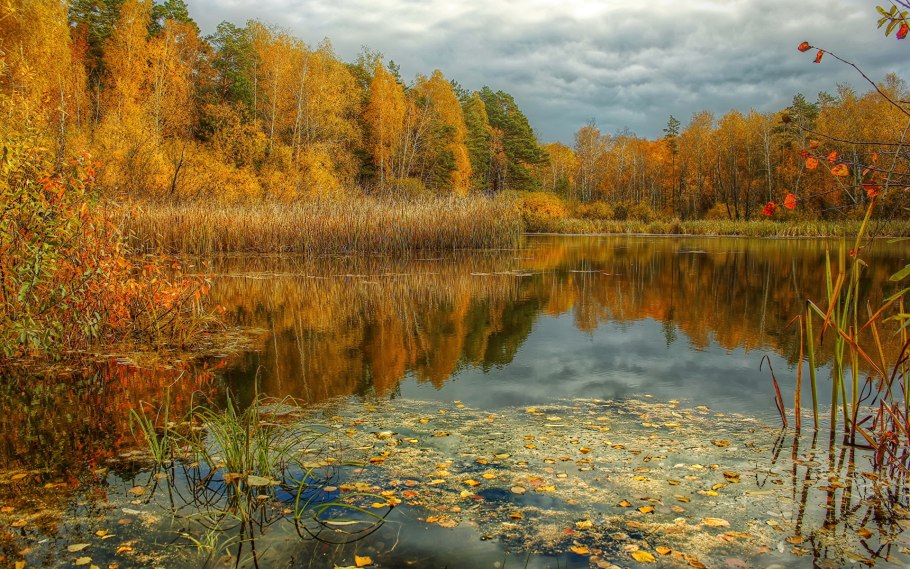 Тумботино озера осень