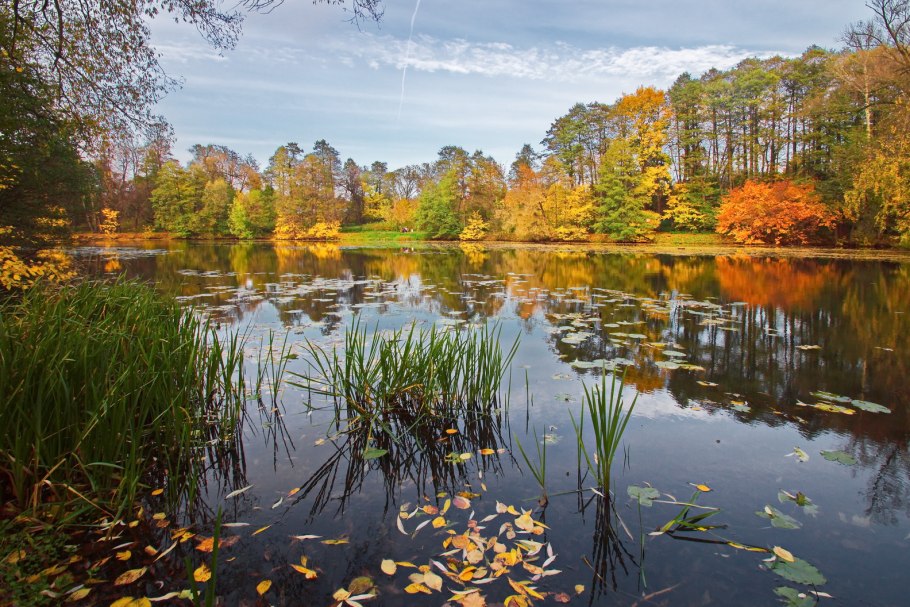 Пейзаж осенний с водоемом