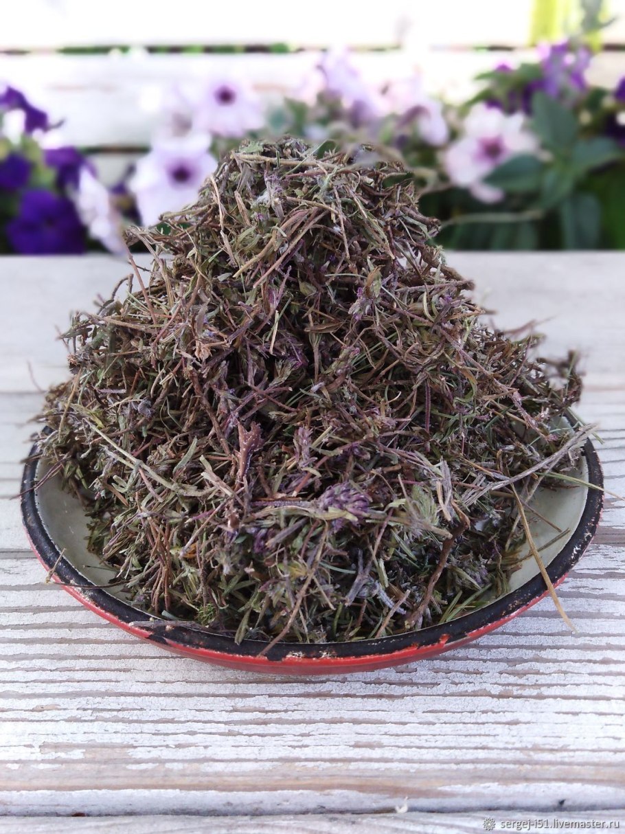 Фото травы чабреца и душицы