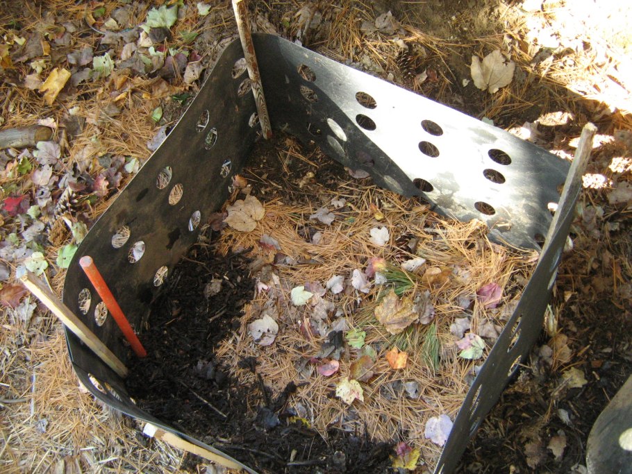 Применение хвои в саду и огороде