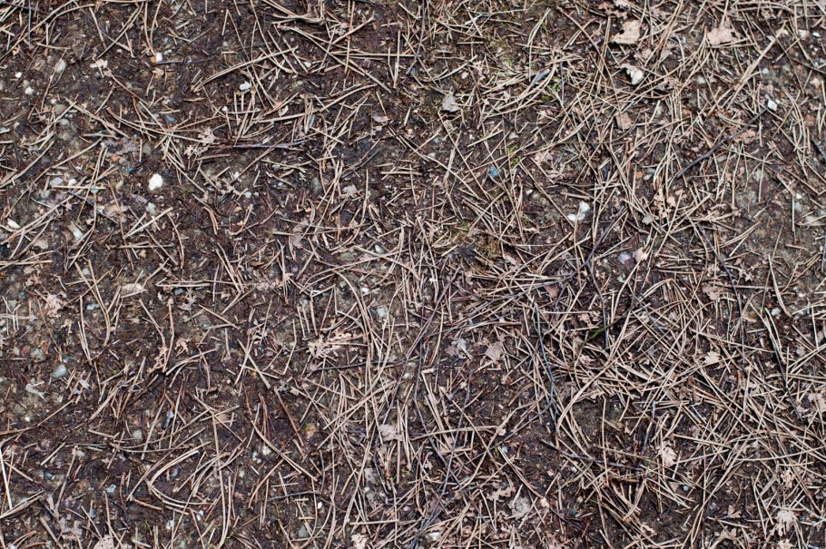 Хвойный опад для мульчирования