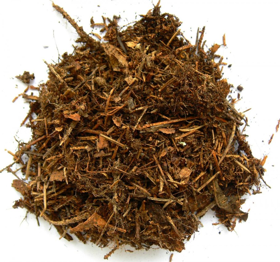 Лесная подстилка почва