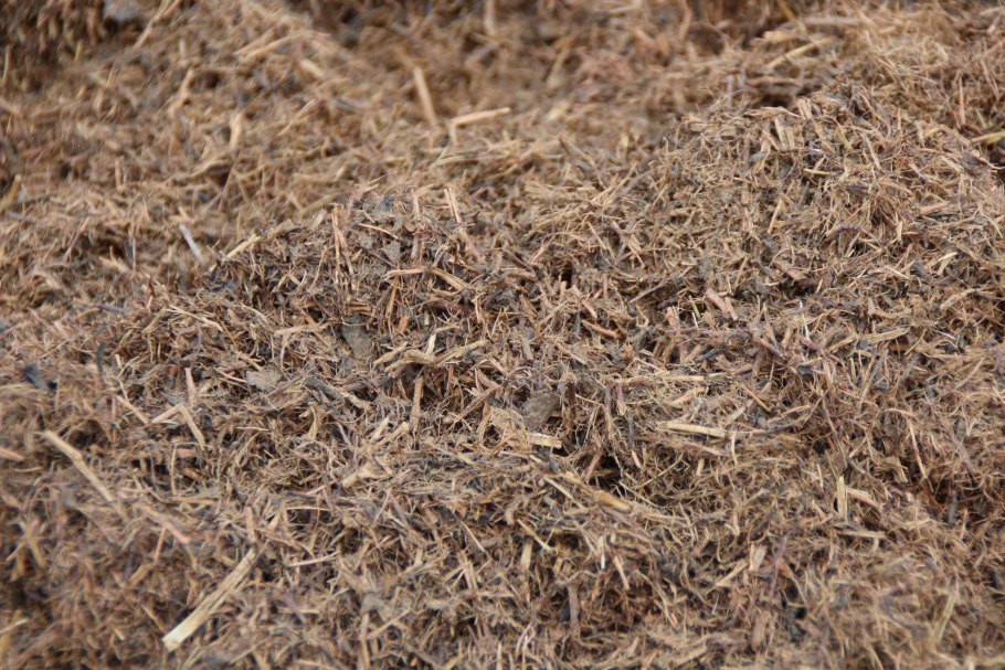 Гниение листьев