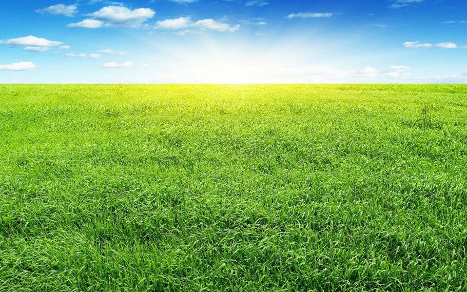 Обои Windows XP