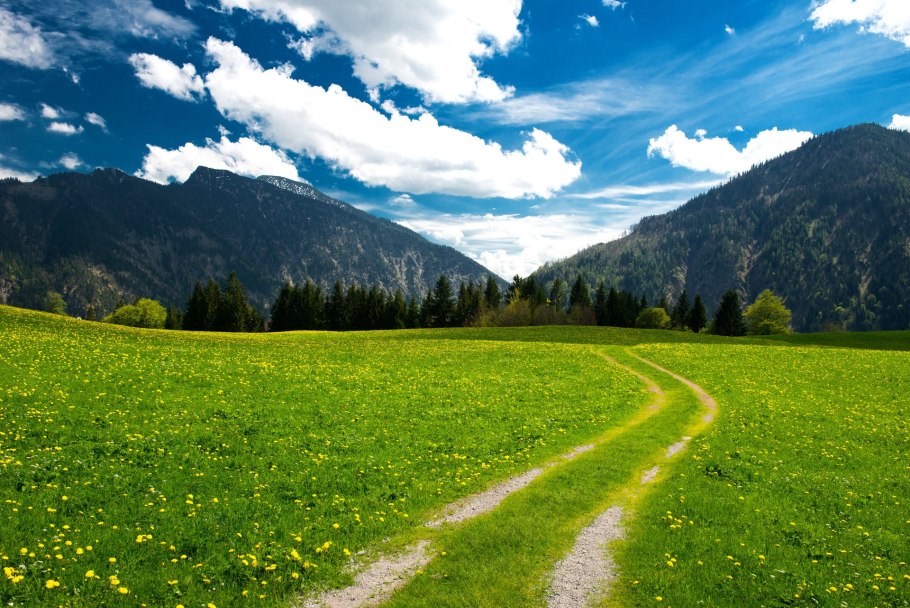 Green Hills зеленые холмы
