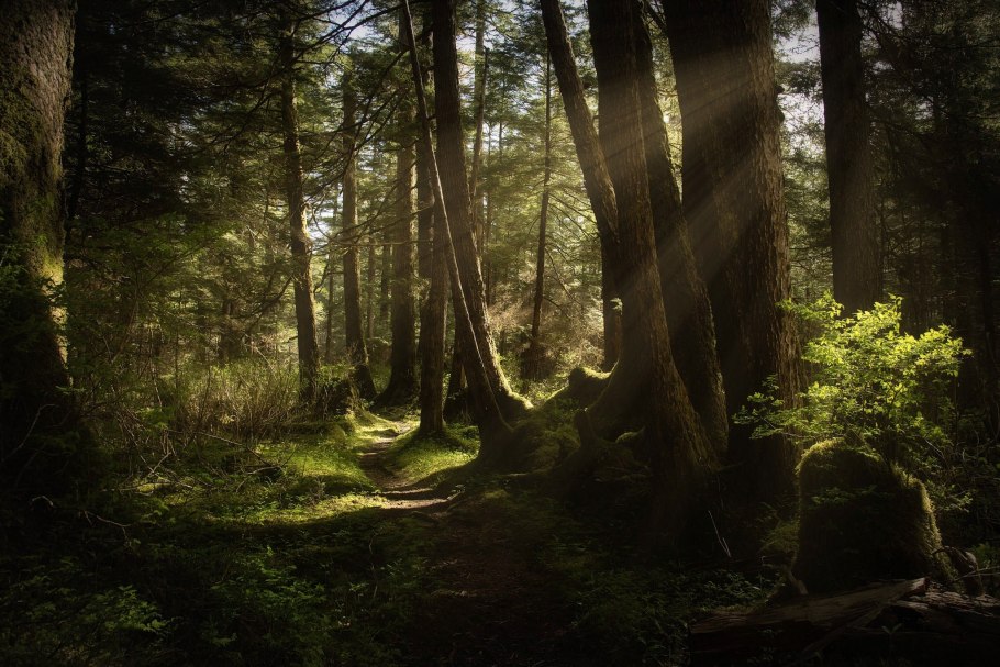 Долина мхов Карелия