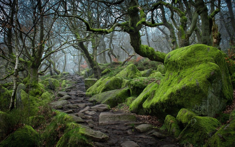 Шервудский лес три камня