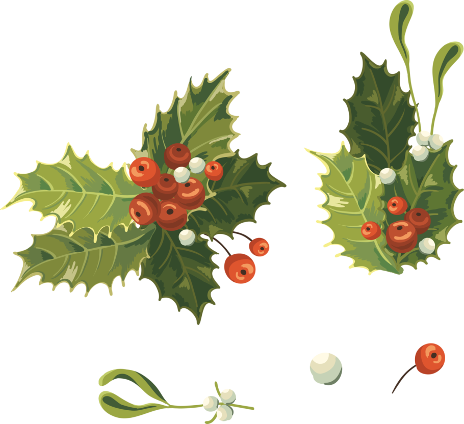 Ягоды и листья вектор