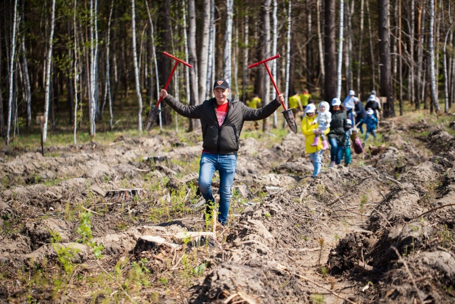 Первая посадка леса в истории