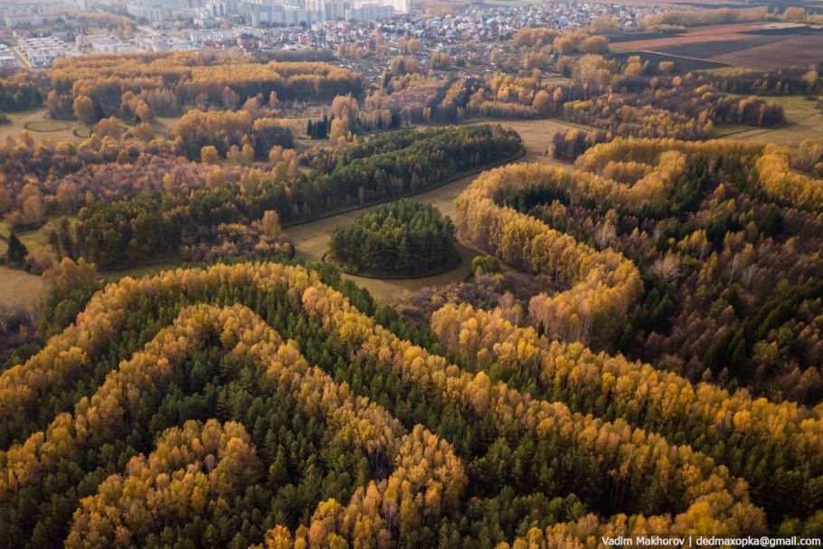 Дендропарк Краснообск